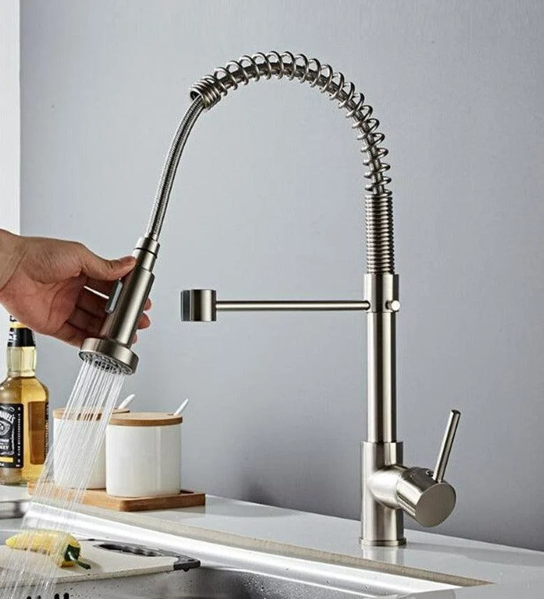 Teagan - Single-Hole Detachable Kitchen Tap with Pull-Down Spring Water Spout -Bathlova