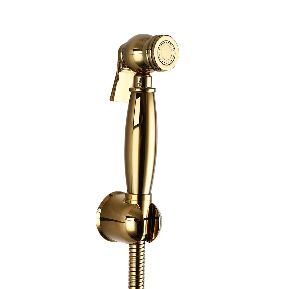 Titanium gold Brass Wall-mounted Handheld Toilet Bidet Sprayer -Bathlova