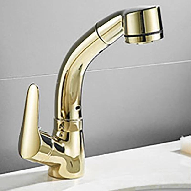 Vessel Sink Bathroom Tap Swivel Spout Single Handle Tap with Pull down Sprayer -Bathlova