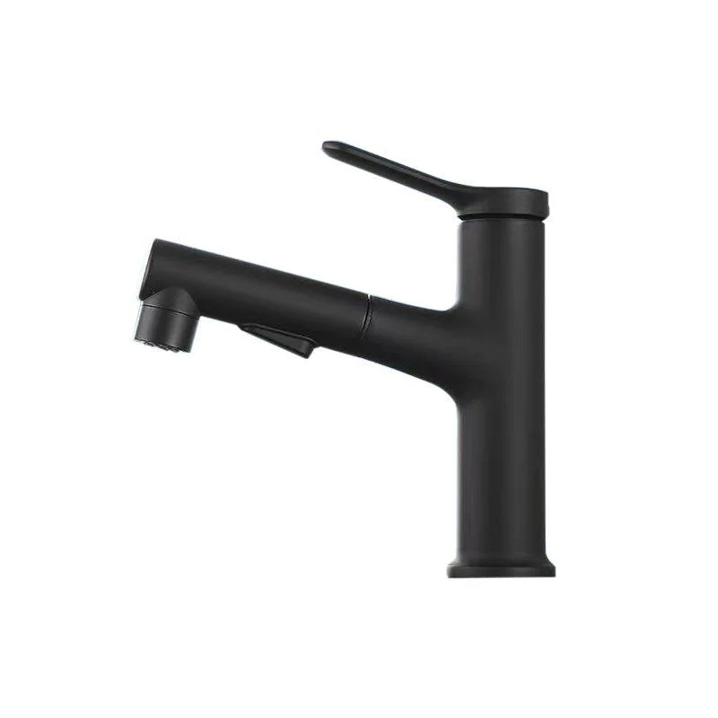 Vessel Sink Tap Contemporary Pull-out Tap with Swivel Spout -Bathlova