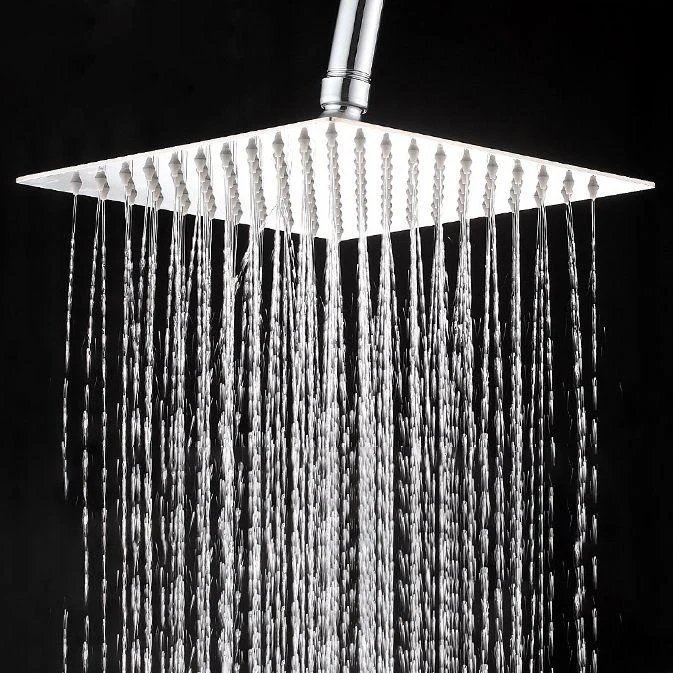 Wall-Mount Shower Head Stainless Steel Fixed Shower Head with Shower Arm -Bathlova