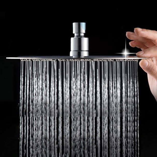 Wall-Mount Shower Head Stainless Steel Fixed Shower Head with Shower Arm -Bathlova