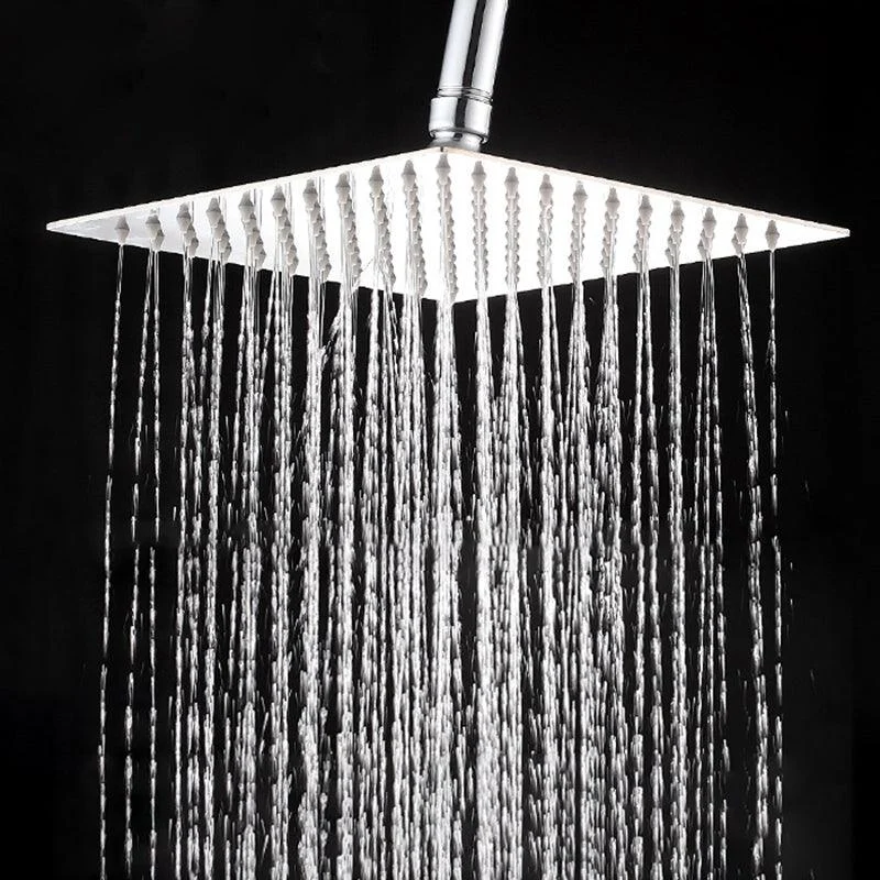 Wall-Mount Shower Head Stainless Steel Fixed Shower Head with Shower Arm -Bathlova