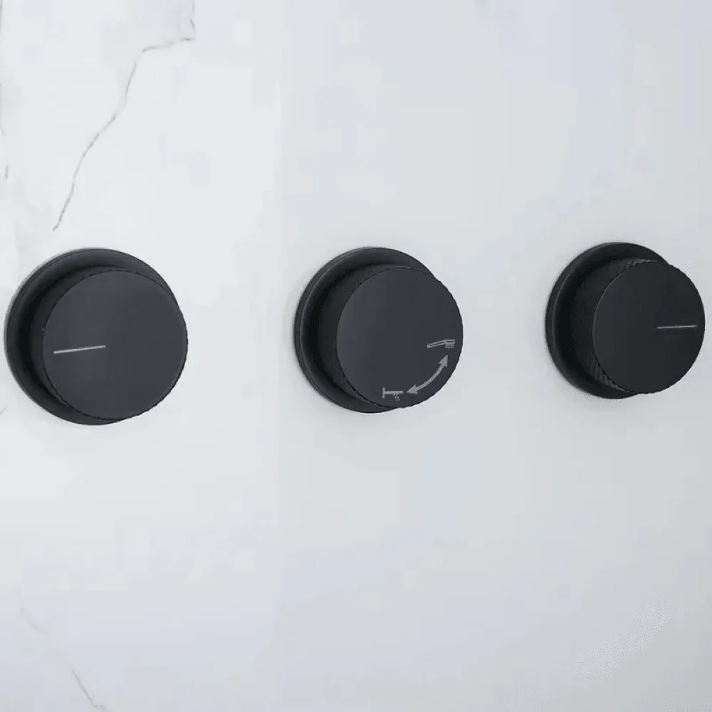 Wall-Mounted Double Functions Shower System with Standard Valve in Black -Bathlova