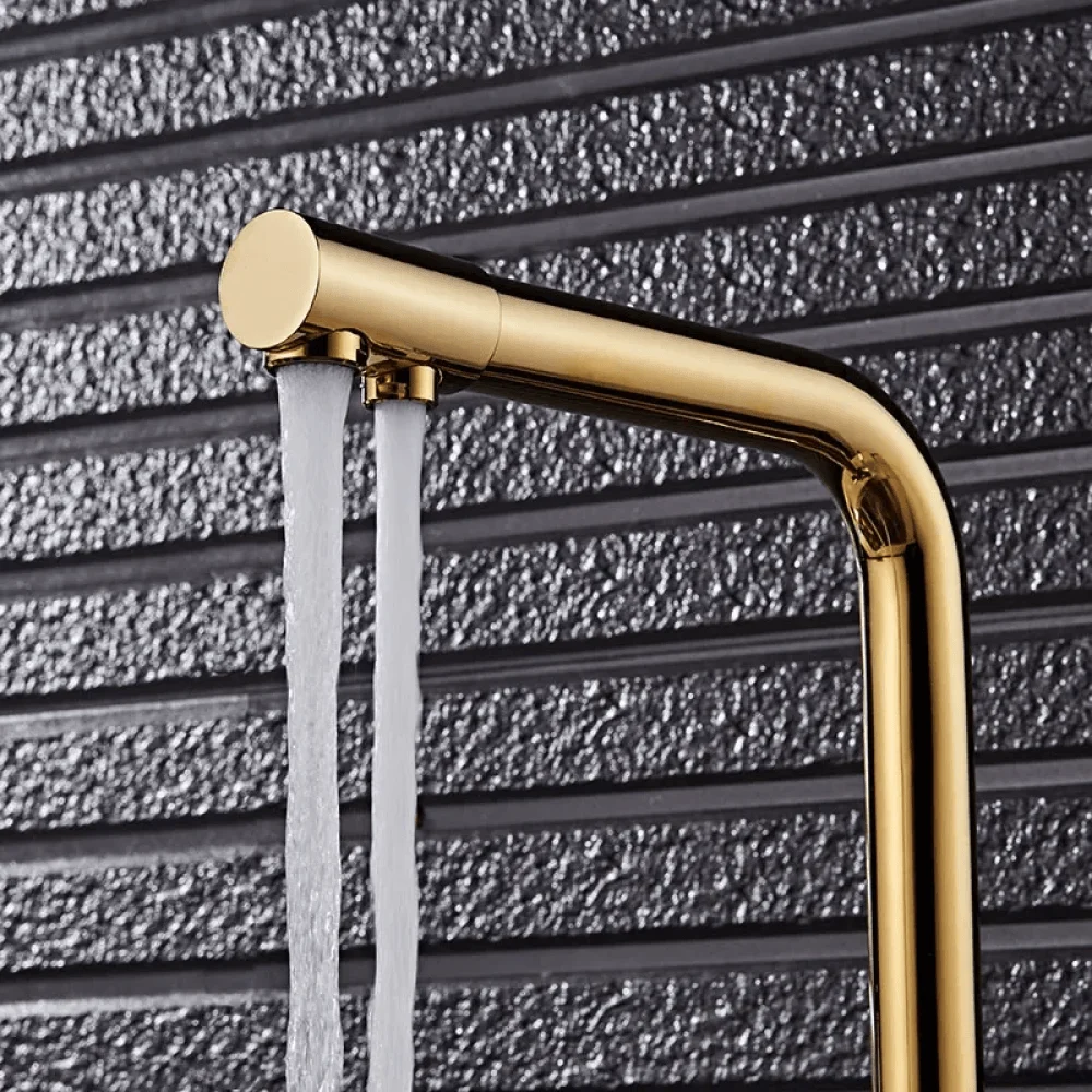 Water Filtering Dual Handle Kitchen Tap in Gold -Bathlova