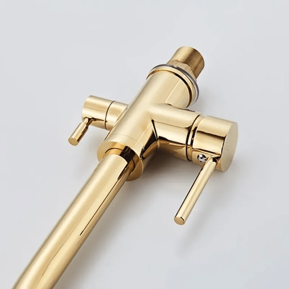 Water Filtering Dual Handle Kitchen Tap in Gold -Bathlova